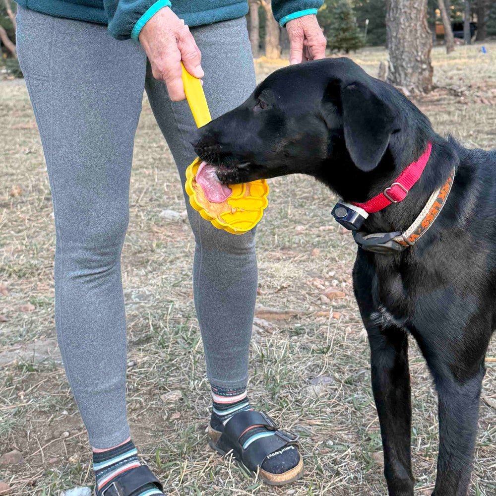 SodaPup Interactive Lick Stick