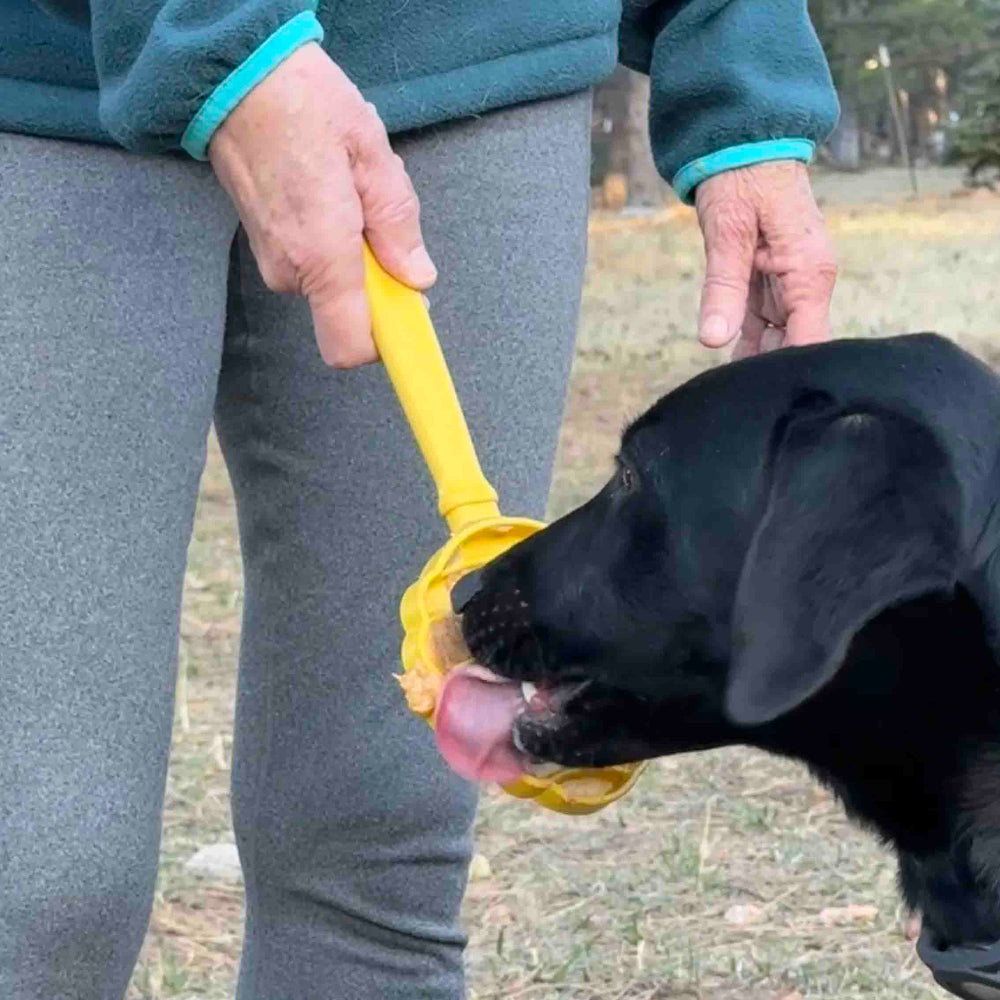 SodaPup Interactive Lick Stick