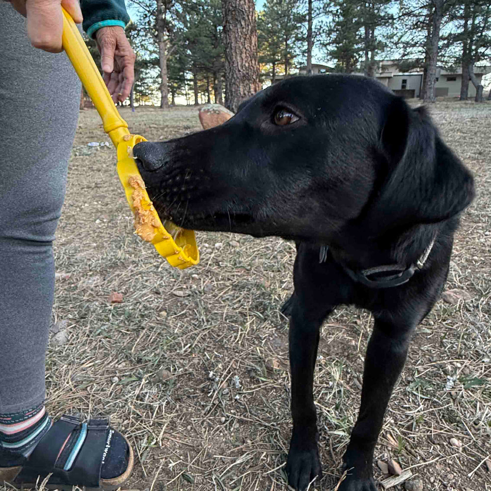 SodaPup Interactive Lick Stick