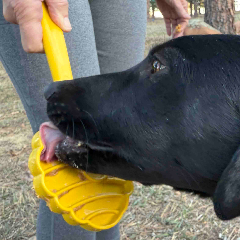 SodaPup Interactive Lick Stick