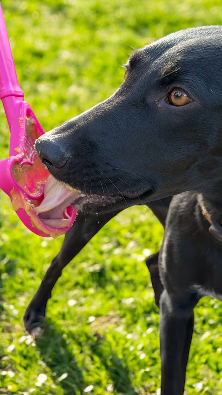 SodaPup Interactive Lick Stick