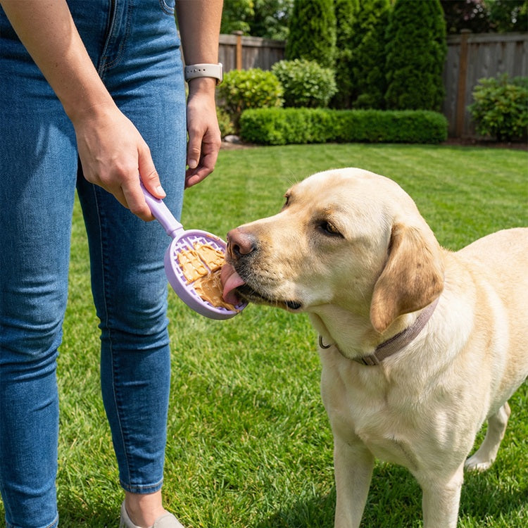 SodaPup Interactive Lick Stick